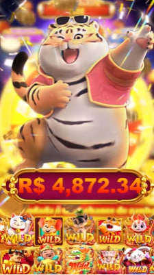 8855bet